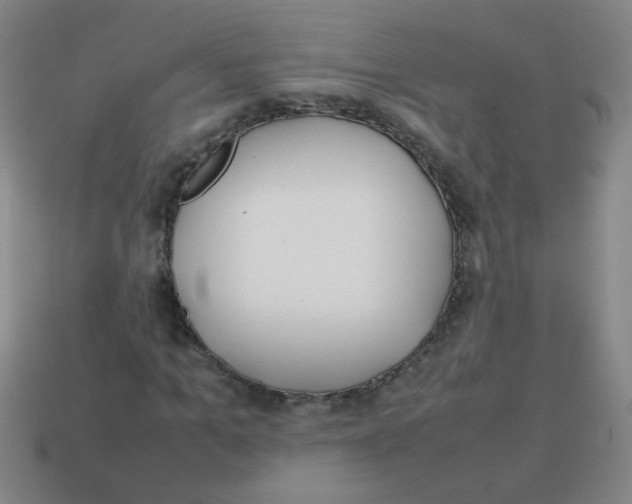 X0000113870965200910221331