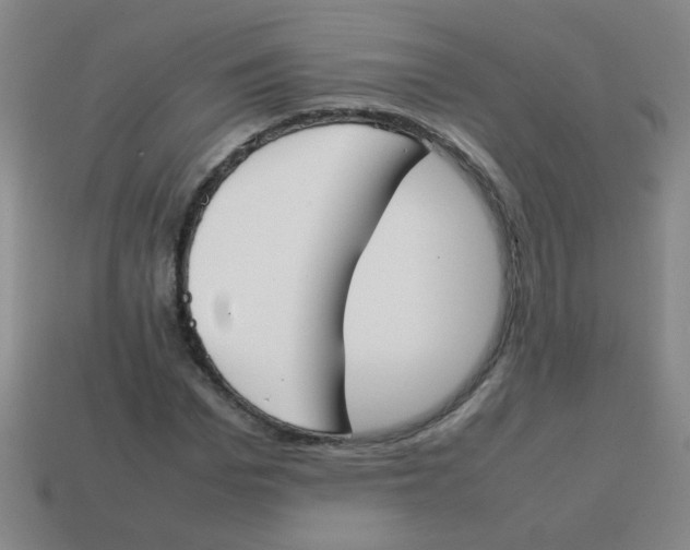 X0000113870969200910221331
