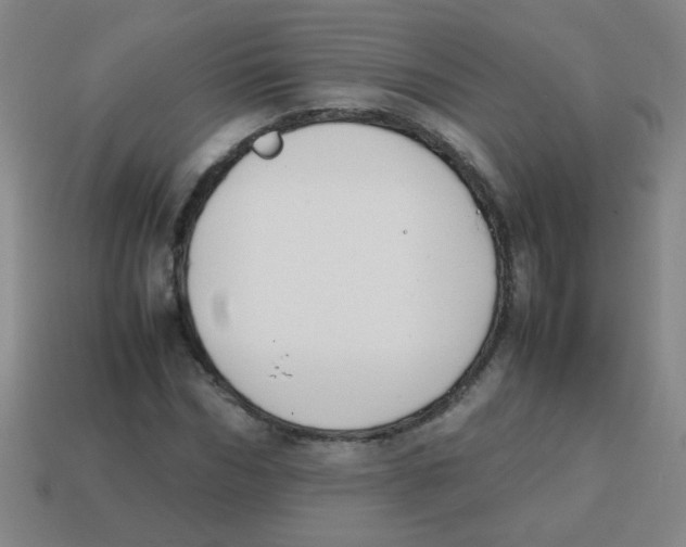 X0000113870970200910221331