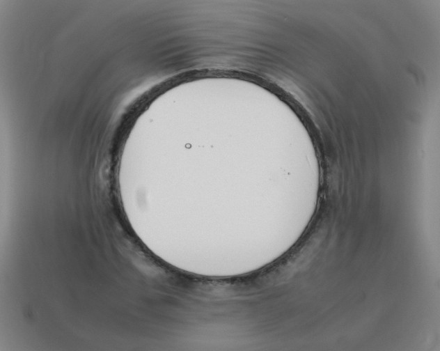 X0000113870971200910221331
