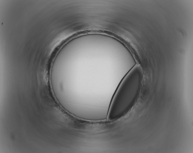 X0000113870973200910221331