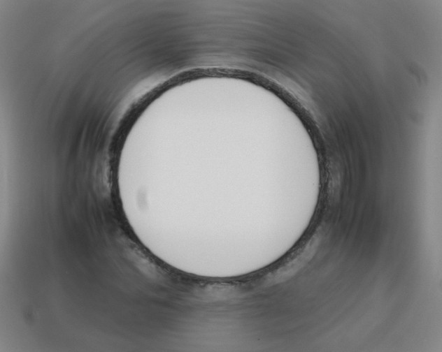 X0000113870974200910221331