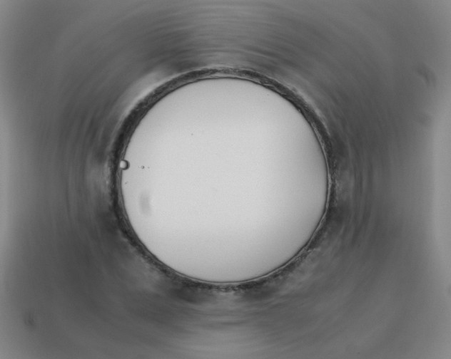 X0000113870975200910221331