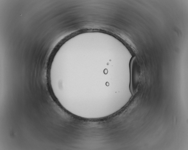 X0000113870976200910221331