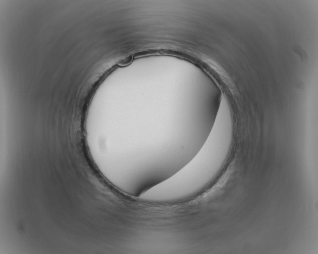 X0000113870977200910221331