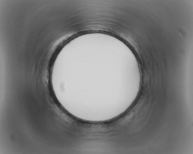 X0000113870979200910221331