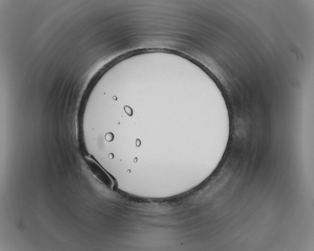 X0000113870980200910221331