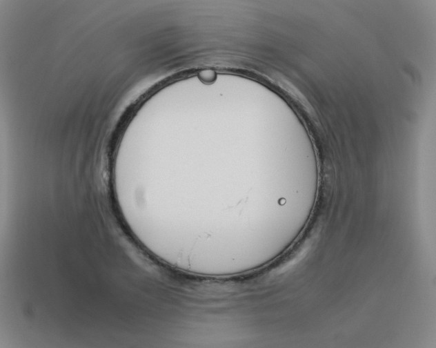 X0000113870981200910221331