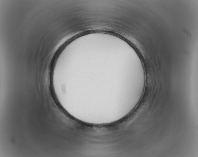 X0000113870983200910221331