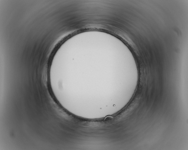 X0000113870984200910221331