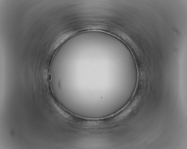 X0000113870985200910221331