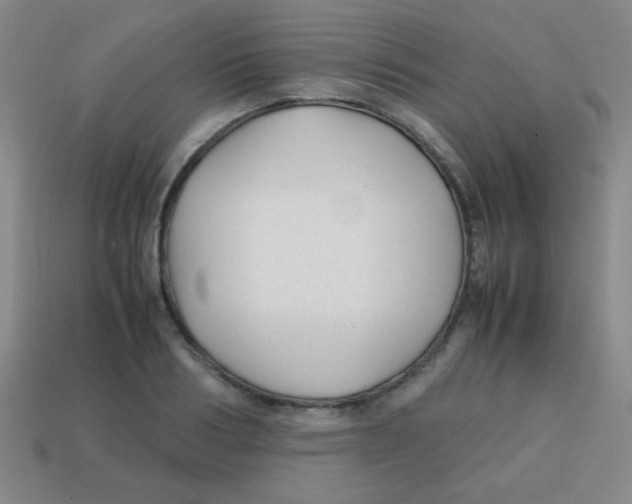 X0000113870986200910221331