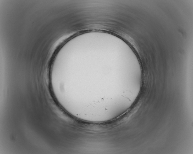 X0000113870987200910221331