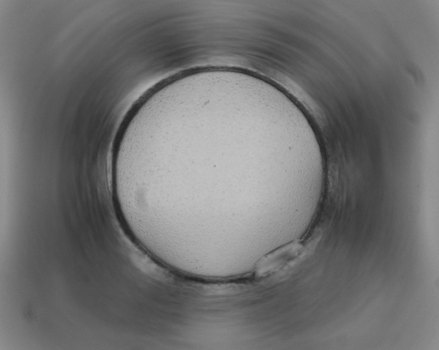 X0000113870988200910221331