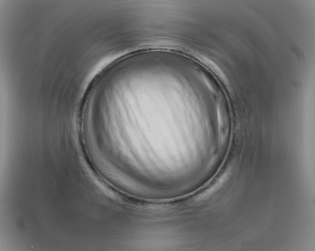 X0000113870989200910221331