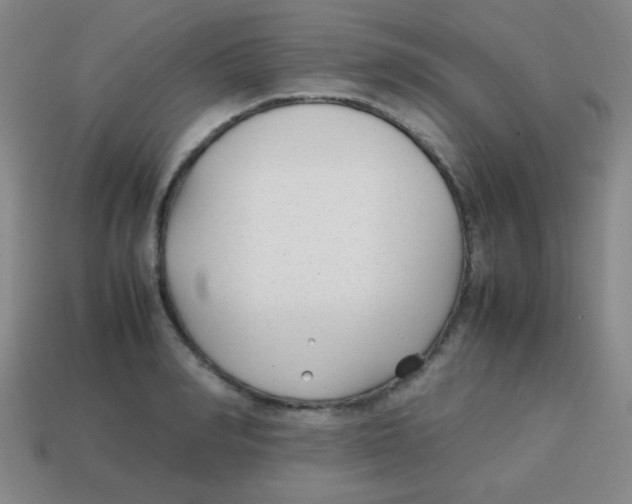 X0000113870990200910221331