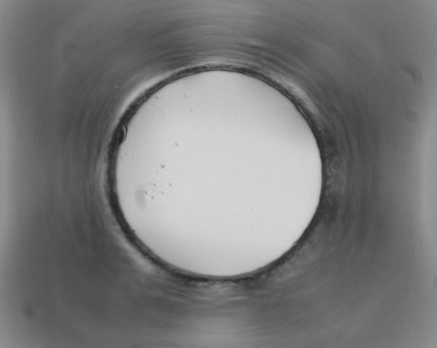 X0000113870991200910221331
