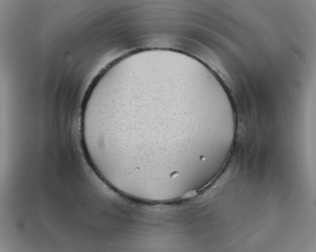 X0000113870992200910221331