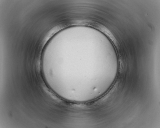 X0000113870994200910221331