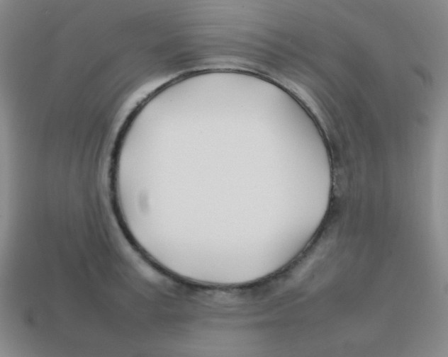 X0000113870995200910221331