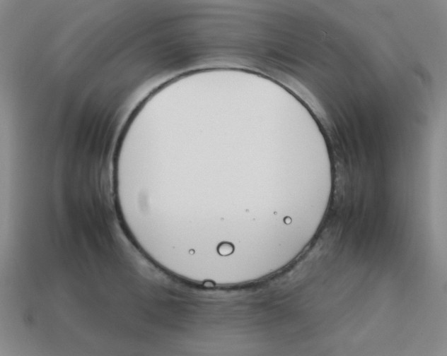 X0000113870996200910221331