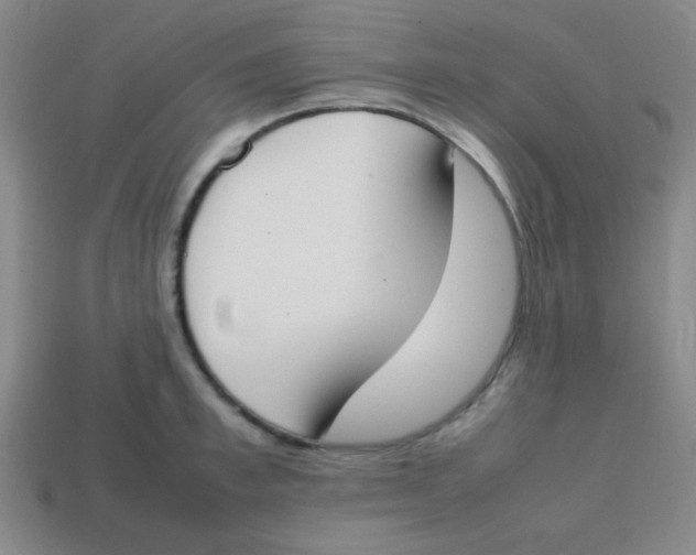 X0000113870997200910221331