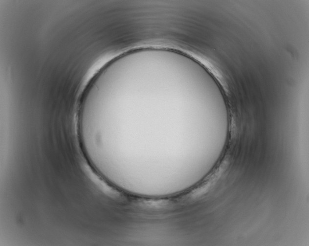 X0000113870998200910221331