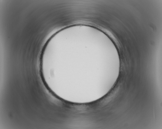 X0000113870999200910221331
