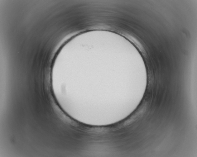 X0000113871000200910221331