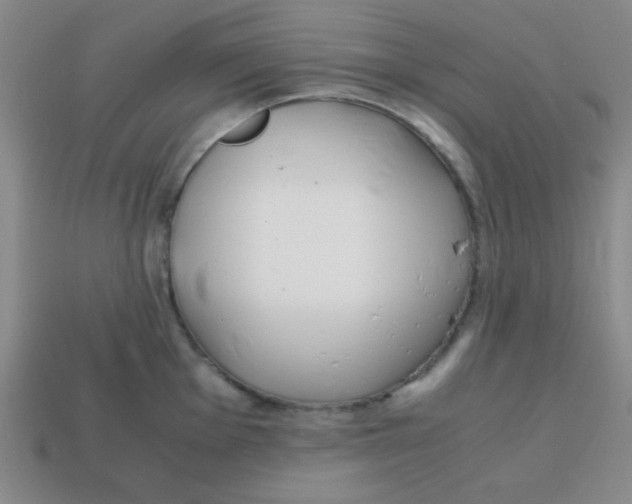 X0000113871001200910221331