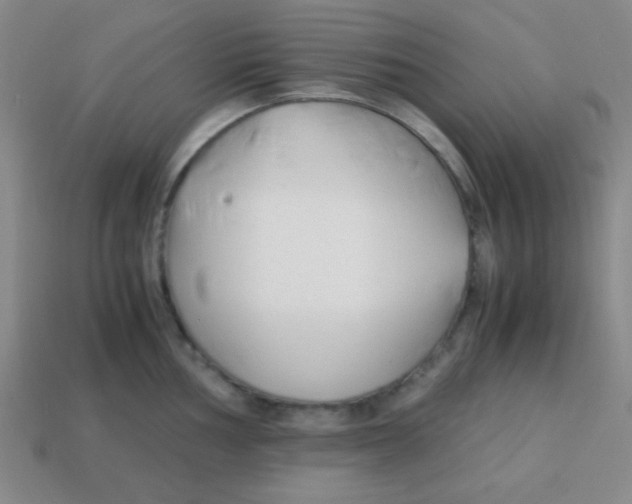 X0000113871002200910221331