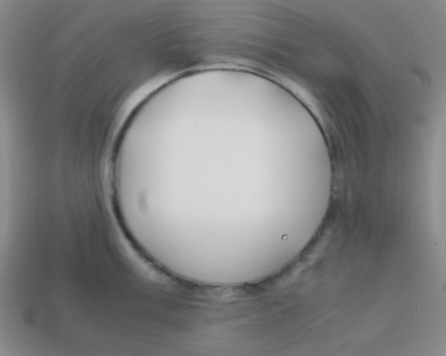 X0000113871003200910221331