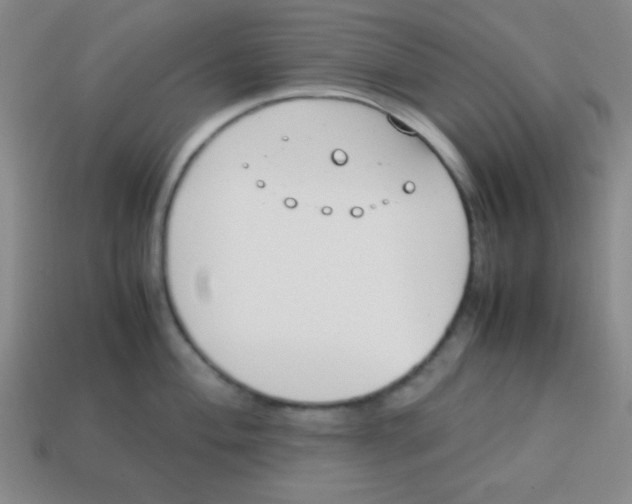 X0000113871004200910221331
