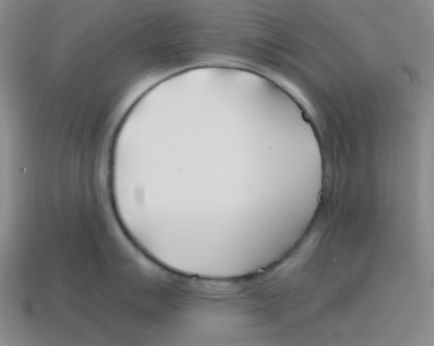 X0000113871007200910221331