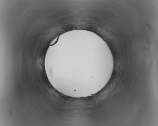 X0000113871010200910221330