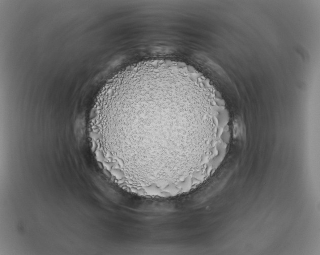 X0000113871011200910221330