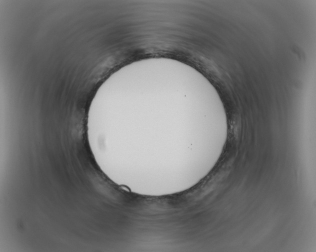 X0000113871012200910221330
