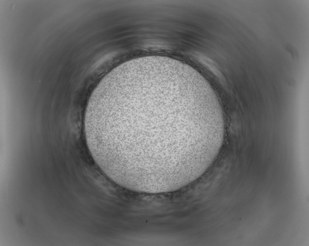 X0000113871015200910221330