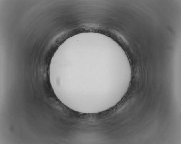 X0000113871016200910221330
