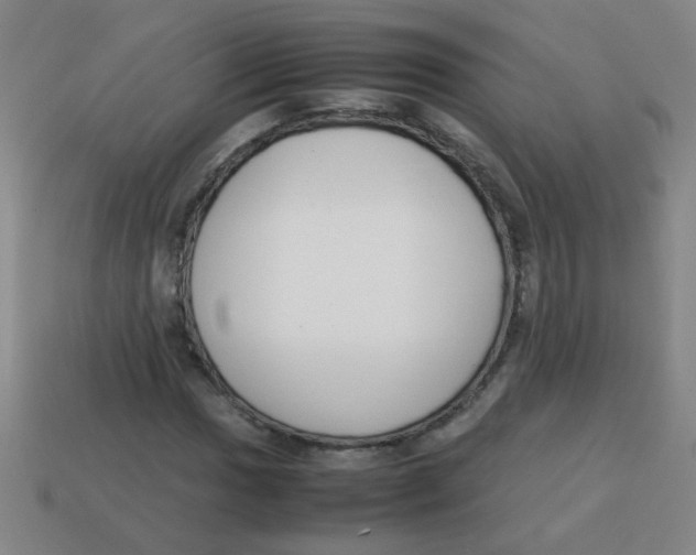 X0000113871017200910221330