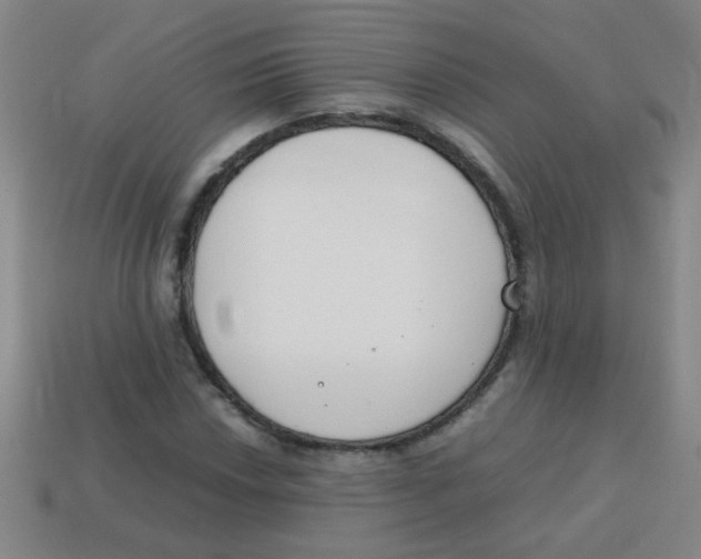X0000113871018200910221330