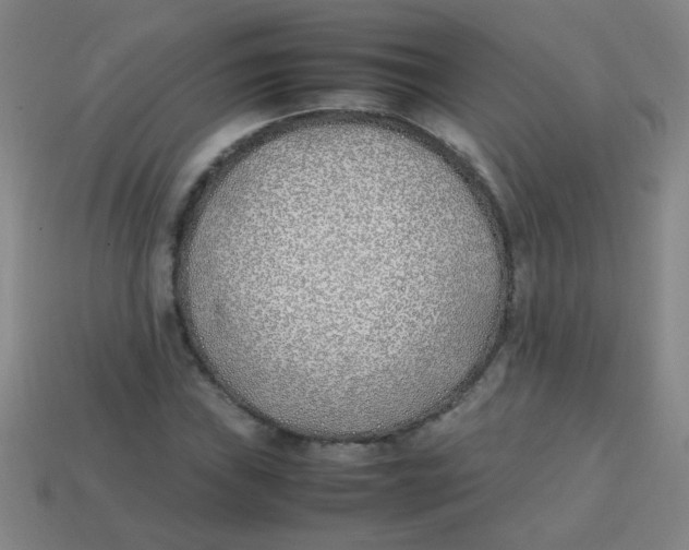 X0000113871019200910221330