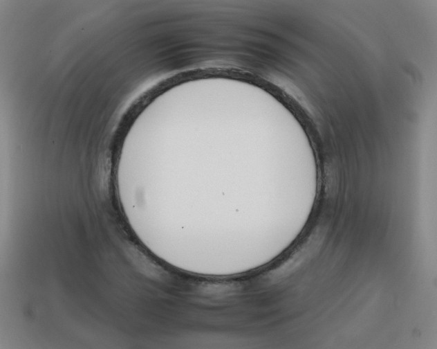 X0000113871021200910221330