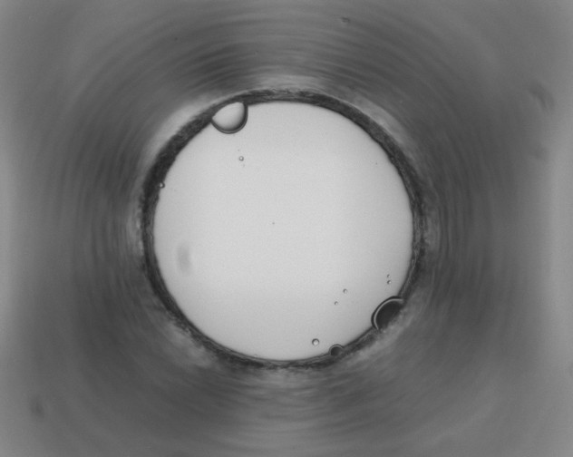 X0000113871022200910221330