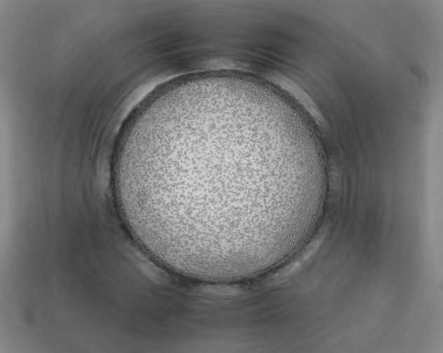 X0000113871023200910221330