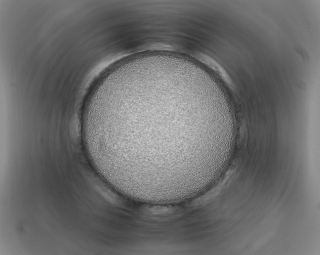 X0000113871027200910221330