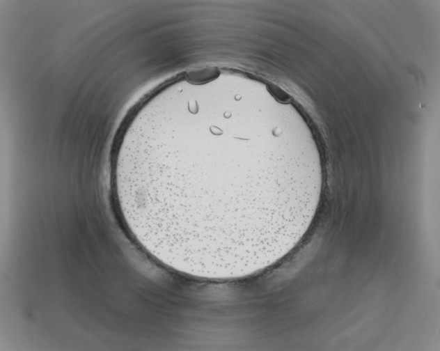 X0000113871028200910221330