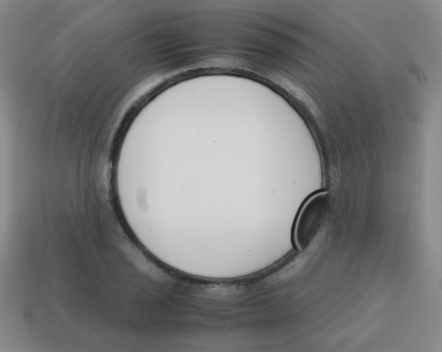 X0000113871029200910221330