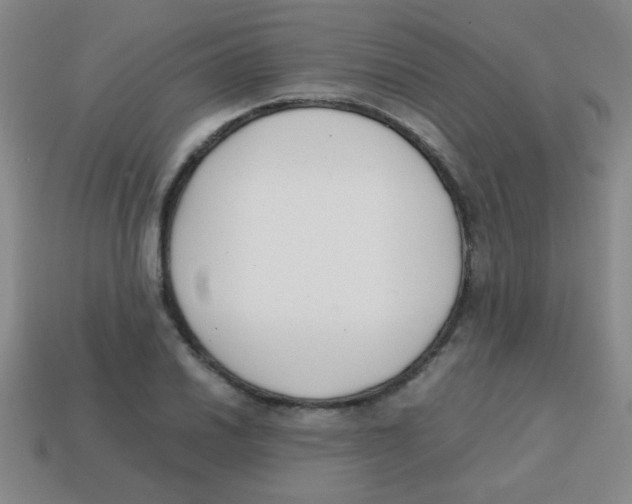 X0000113871030200910221330