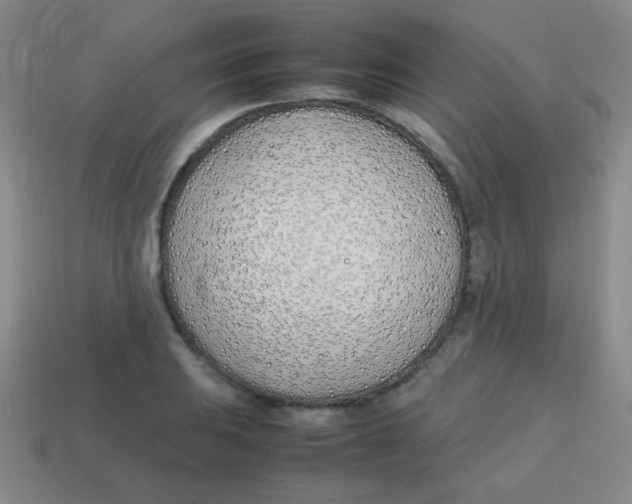 X0000113871031200910221330